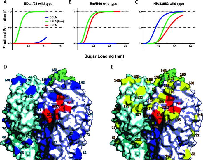 https://cdn.ncbi.nlm.nih.gov/pmc/blobs/eb87/8092835/b8be06518cd5/JVI.01651-20-f0001.jpg