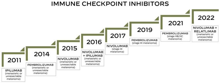 https://cdn.ncbi.nlm.nih.gov/pmc/blobs/eb88/12153560/4464623d2604/cancers-17-01835-g001.jpg