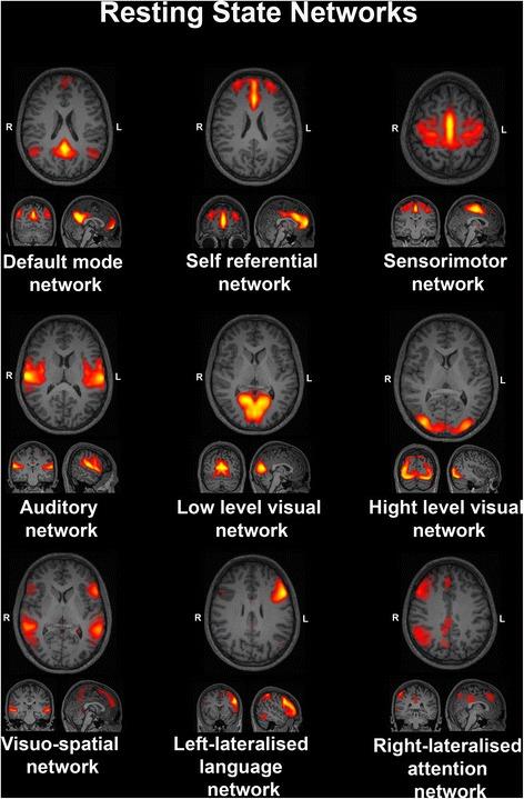 https://cdn.ncbi.nlm.nih.gov/pmc/blobs/eb89/4522079/e0de82db176b/11689_2015_9120_Fig1_HTML.jpg