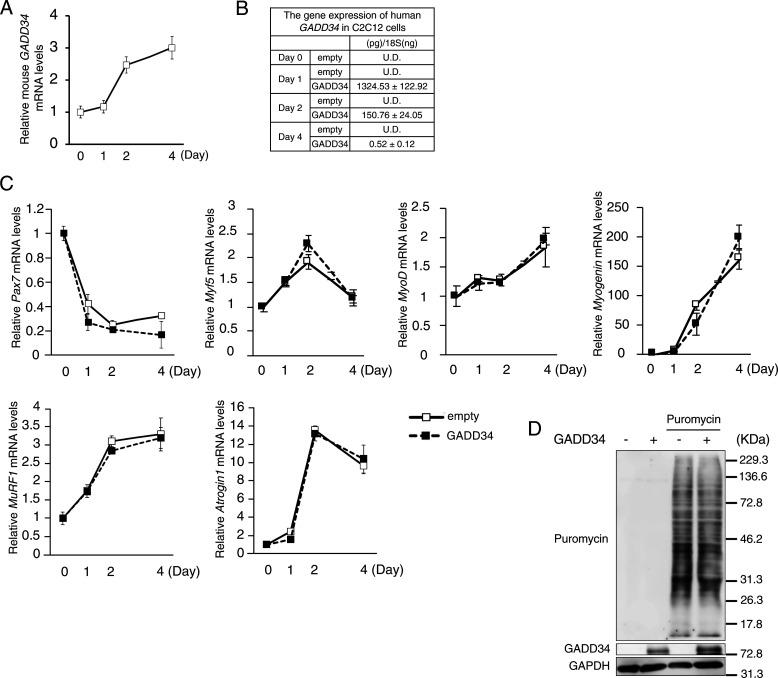 https://cdn.ncbi.nlm.nih.gov/pmc/blobs/eb89/8960774/ad62a1eb4499/LSA-2021-01345_FigS4.jpg