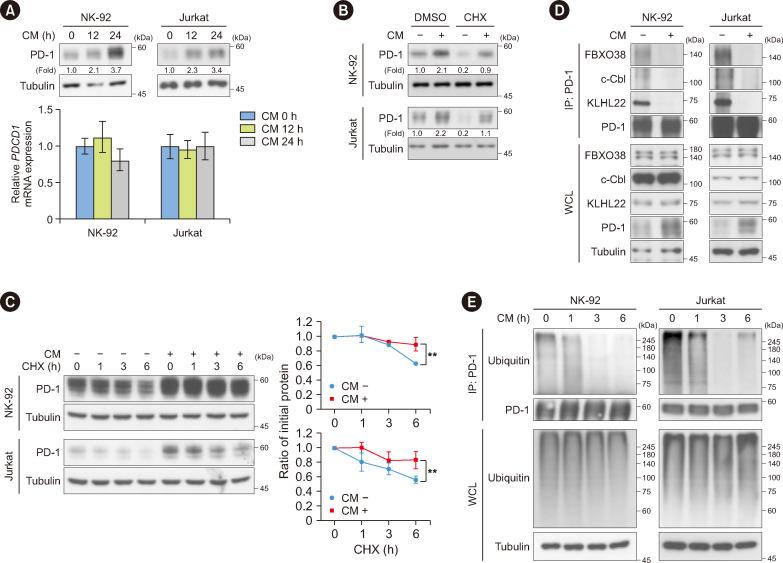 https://cdn.ncbi.nlm.nih.gov/pmc/blobs/eb8a/11169777/d19096e9e9e8/alm-44-5-426-f3.jpg