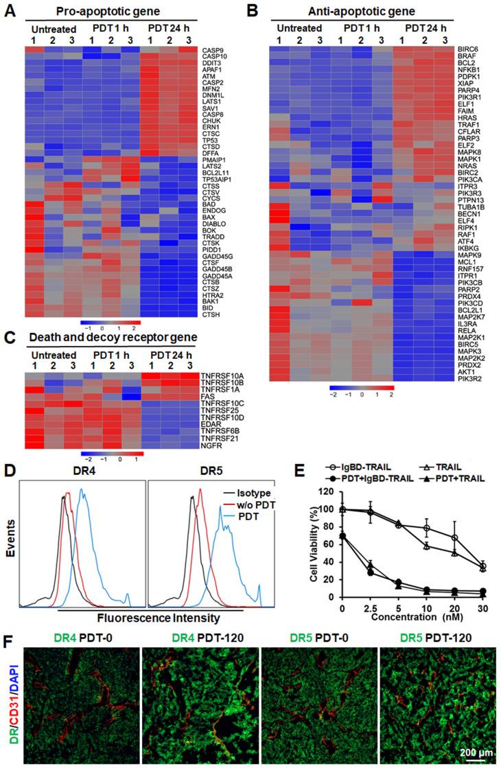 https://cdn.ncbi.nlm.nih.gov/pmc/blobs/eb8a/7977453/2b4e1959448c/thnov11p4281g004.jpg