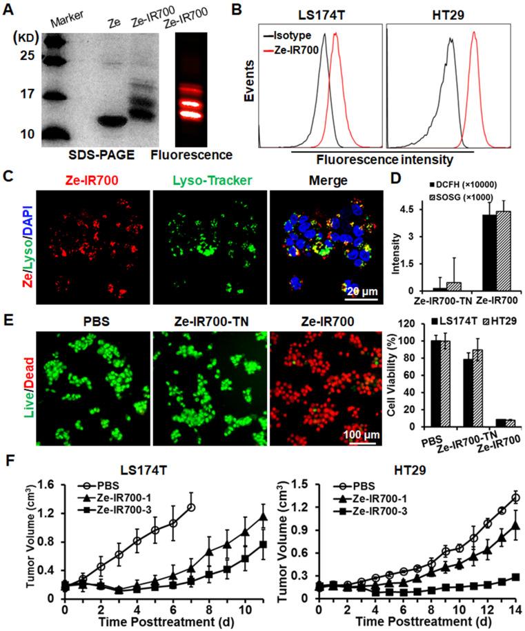 https://cdn.ncbi.nlm.nih.gov/pmc/blobs/eb8a/7977453/82ff577bced1/thnov11p4281g003.jpg