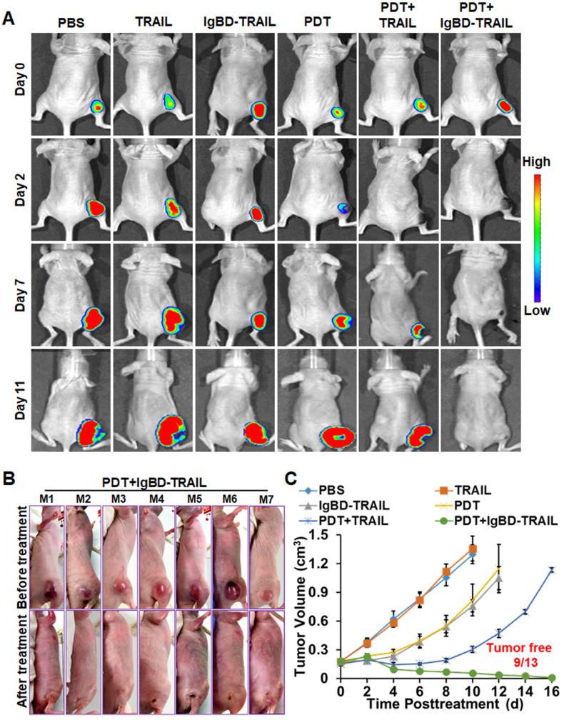 https://cdn.ncbi.nlm.nih.gov/pmc/blobs/eb8a/7977453/ab75448f9aca/thnov11p4281g006.jpg