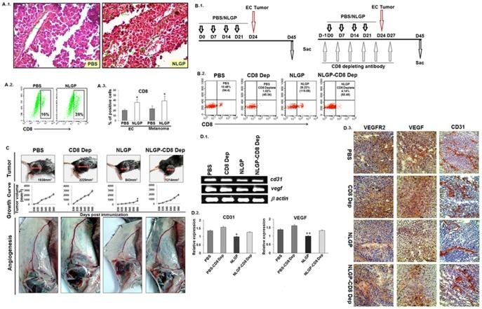https://cdn.ncbi.nlm.nih.gov/pmc/blobs/eb8b/4229107/02b01d328dab/pone.0110040.g004.jpg