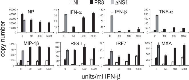https://cdn.ncbi.nlm.nih.gov/pmc/blobs/eb8c/2568957/2fd835cbd0fb/ppat.1000193.g007.jpg