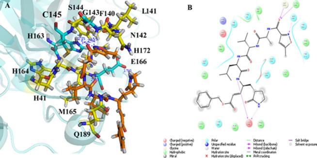 https://cdn.ncbi.nlm.nih.gov/pmc/blobs/eb8e/11244705/843b5524c902/RPS-19-29-g015.jpg