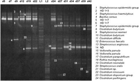 https://cdn.ncbi.nlm.nih.gov/pmc/blobs/eb8e/4326509/fba1072d1811/12866_2014_325_Fig1_HTML.jpg