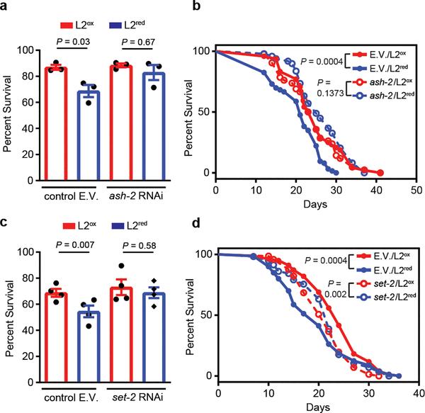 https://cdn.ncbi.nlm.nih.gov/pmc/blobs/eb8f/7039399/5bcdf78023fa/nihms-1541329-f0004.jpg