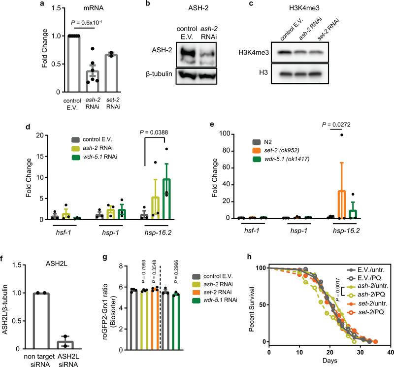 https://cdn.ncbi.nlm.nih.gov/pmc/blobs/eb8f/7039399/5f7b9d5be744/nihms-1541329-f0010.jpg