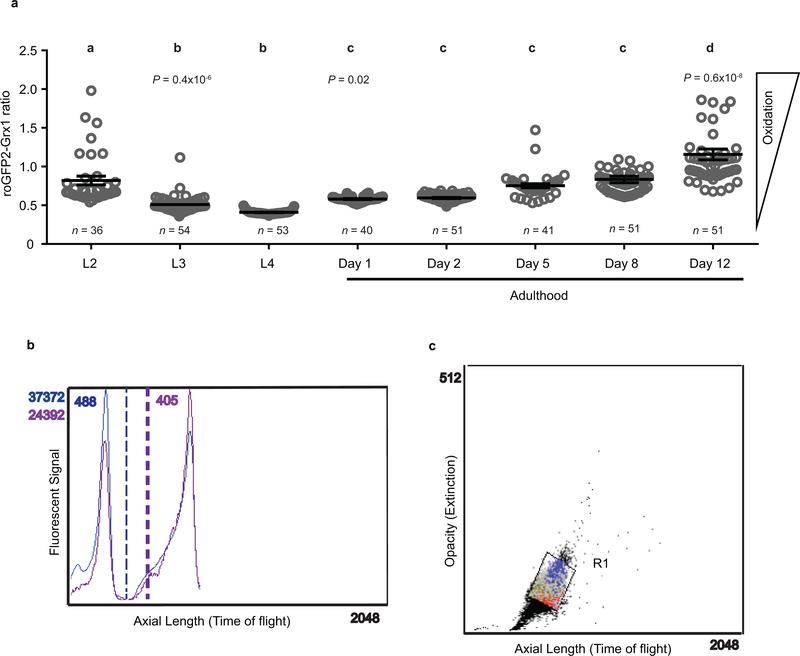 https://cdn.ncbi.nlm.nih.gov/pmc/blobs/eb8f/7039399/a78269b05c47/nihms-1541329-f0005.jpg