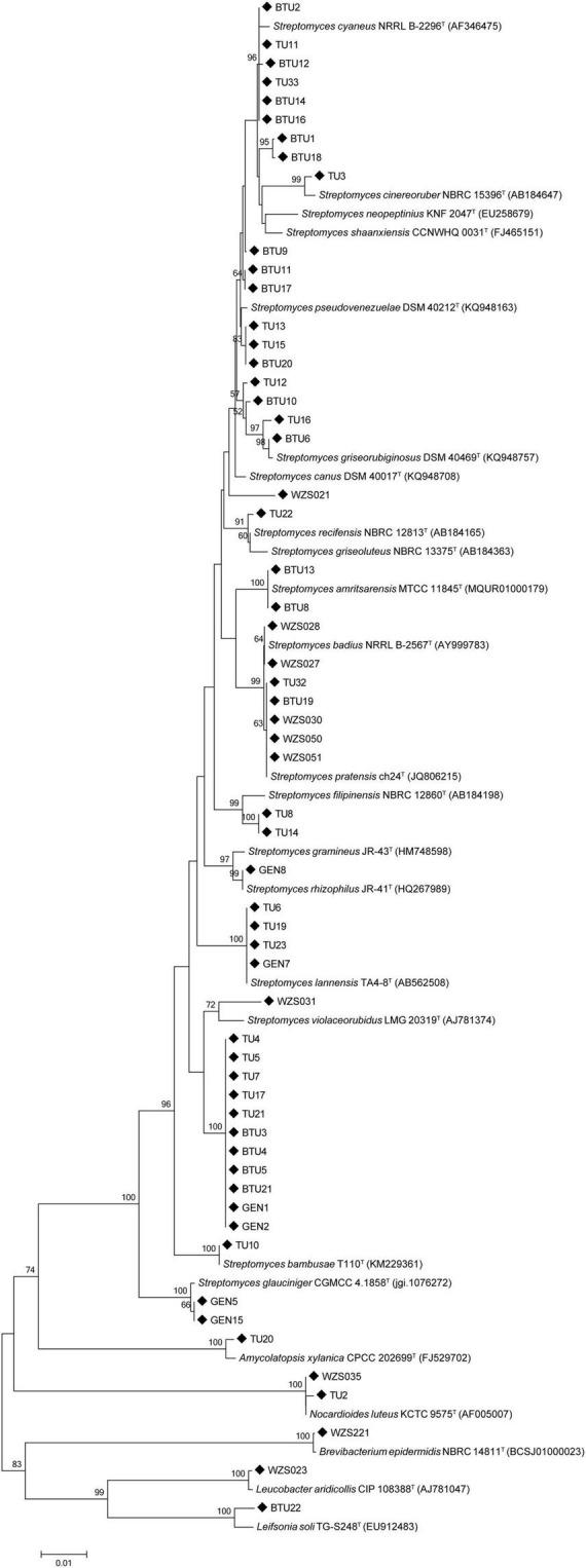 https://cdn.ncbi.nlm.nih.gov/pmc/blobs/eb90/8740303/d9701cc4b5ee/fmicb-12-797889-g001.jpg