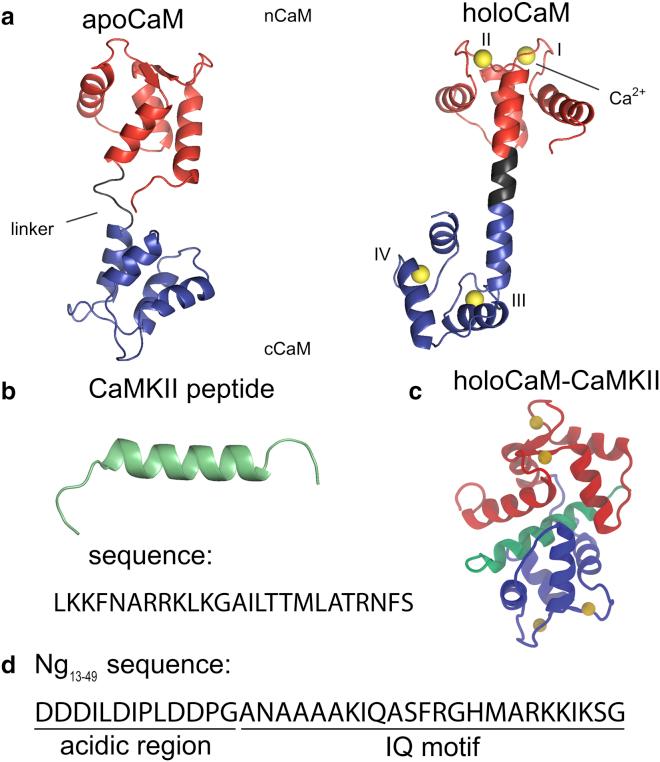 https://cdn.ncbi.nlm.nih.gov/pmc/blobs/eb91/5374985/2ab921751f65/gr1.jpg