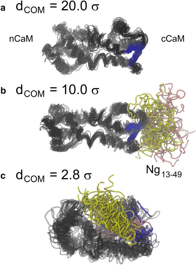 https://cdn.ncbi.nlm.nih.gov/pmc/blobs/eb91/5374985/b96dffc80bee/gr3.jpg