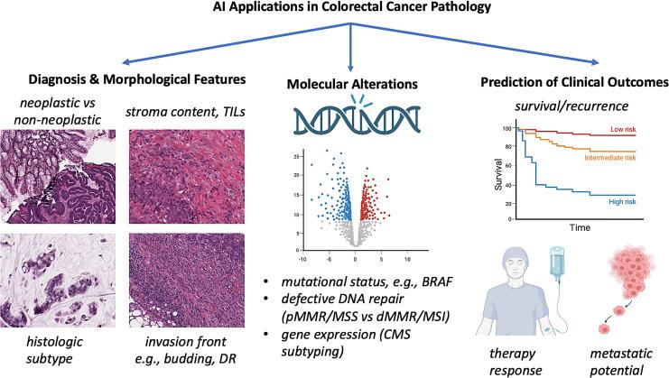 https://cdn.ncbi.nlm.nih.gov/pmc/blobs/eb92/11457979/e6aeb7c0243f/dig-2024-0105-0005-539678_F01.jpg