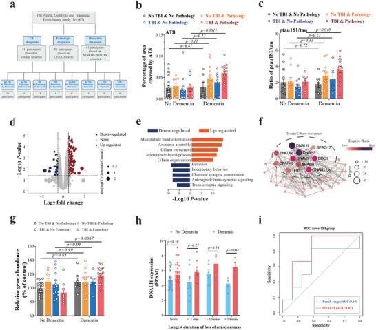 https://cdn.ncbi.nlm.nih.gov/pmc/blobs/eb95/11022701/66d932c4eea4/ADVS-11-2306399-g002.jpg