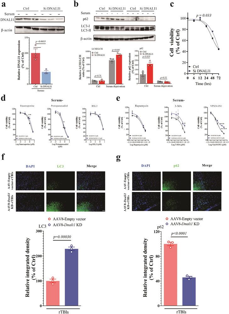 https://cdn.ncbi.nlm.nih.gov/pmc/blobs/eb95/11022701/70ea84ffdfc7/ADVS-11-2306399-g003.jpg