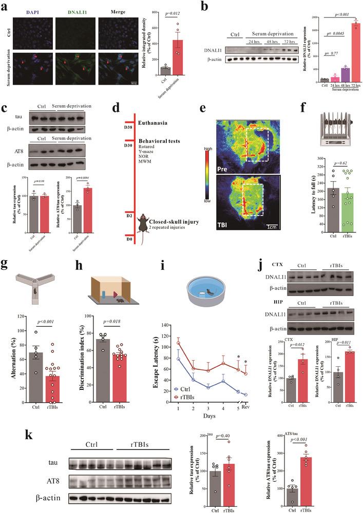 https://cdn.ncbi.nlm.nih.gov/pmc/blobs/eb95/11022701/b82c72c1dead/ADVS-11-2306399-g007.jpg