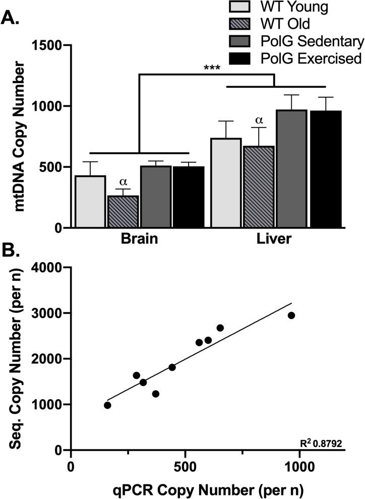 https://cdn.ncbi.nlm.nih.gov/pmc/blobs/eb96/7051064/651658642a32/pone.0226860.g002.jpg