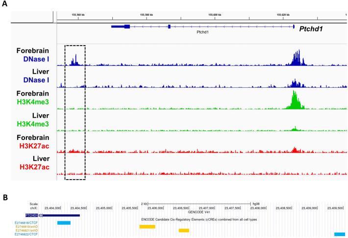 https://cdn.ncbi.nlm.nih.gov/pmc/blobs/eb97/10663455/6f14718ea563/41598_2023_46673_Fig4_HTML.jpg