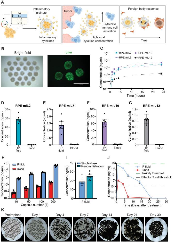 https://cdn.ncbi.nlm.nih.gov/pmc/blobs/eb99/8890714/2146e99e0da5/sciadv.abm1032-f1.jpg