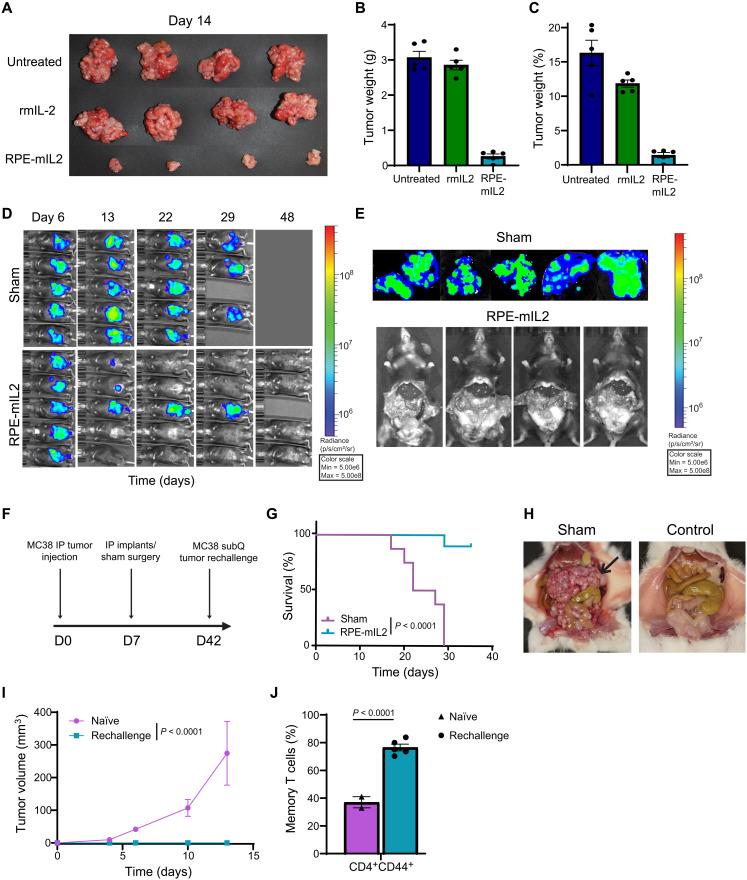 https://cdn.ncbi.nlm.nih.gov/pmc/blobs/eb99/8890714/593fd5a4438d/sciadv.abm1032-f5.jpg