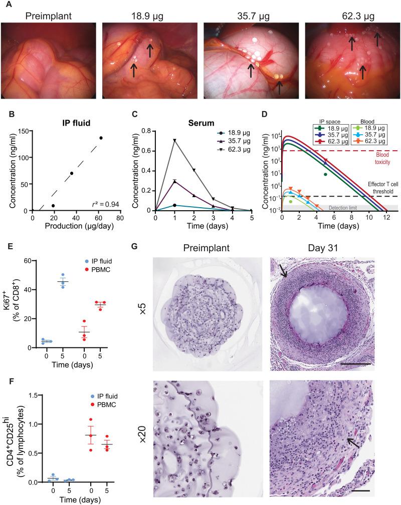 https://cdn.ncbi.nlm.nih.gov/pmc/blobs/eb99/8890714/6998a82bc482/sciadv.abm1032-f7.jpg