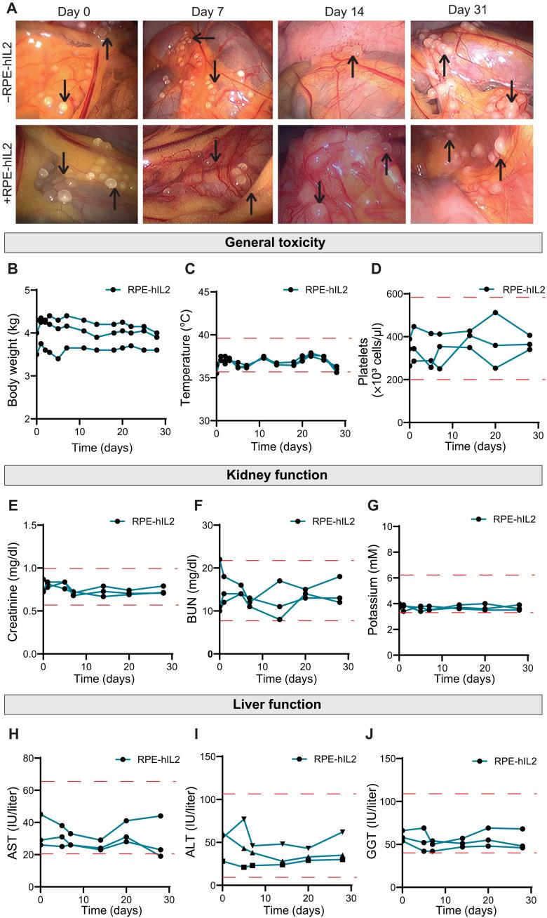 https://cdn.ncbi.nlm.nih.gov/pmc/blobs/eb99/8890714/c23a8cb32eac/sciadv.abm1032-f8.jpg