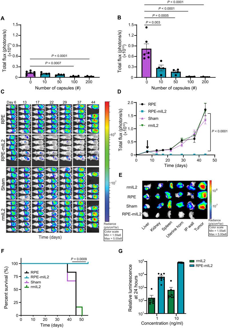 https://cdn.ncbi.nlm.nih.gov/pmc/blobs/eb99/8890714/e637301ed676/sciadv.abm1032-f2.jpg