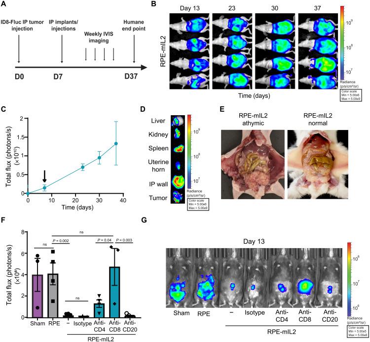 https://cdn.ncbi.nlm.nih.gov/pmc/blobs/eb99/8890714/f3f2ee23fada/sciadv.abm1032-f4.jpg