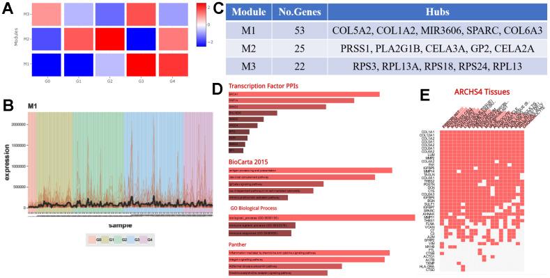 https://cdn.ncbi.nlm.nih.gov/pmc/blobs/eb9c/7746340/054aa28c3f17/aging-12-104091-g009.jpg