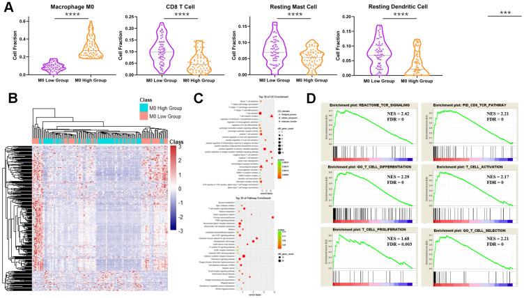 https://cdn.ncbi.nlm.nih.gov/pmc/blobs/eb9c/7746340/65f7c4c453c9/aging-12-104091-g006.jpg