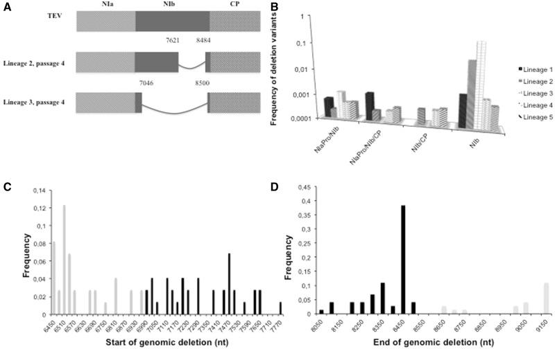 https://cdn.ncbi.nlm.nih.gov/pmc/blobs/eb9d/3971587/2b630c83cfa8/evu036f2.jpg