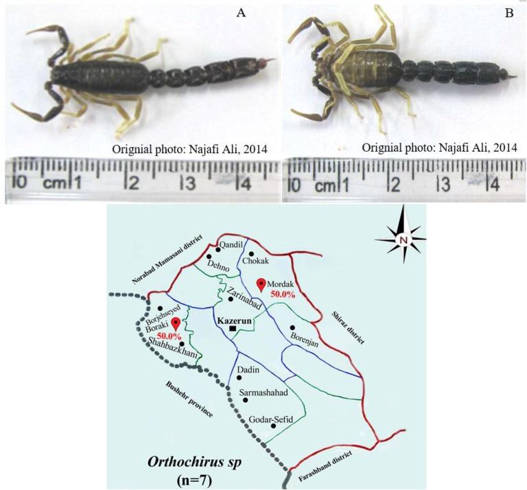 https://cdn.ncbi.nlm.nih.gov/pmc/blobs/eb9d/6297727/ec02439845a8/JAD-12-296-g014.jpg