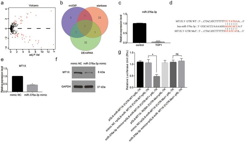 https://cdn.ncbi.nlm.nih.gov/pmc/blobs/eb9d/8942499/9315c1301a4a/KCBT_A_2054243_F0004_OC.jpg