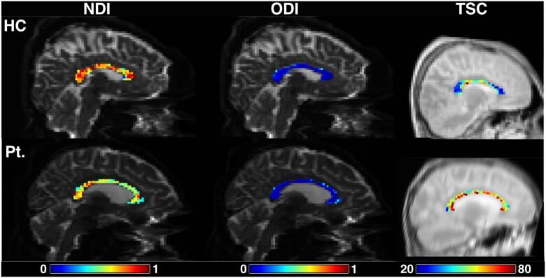 https://cdn.ncbi.nlm.nih.gov/pmc/blobs/eb9e/8219367/75548662e762/awab043f3.jpg