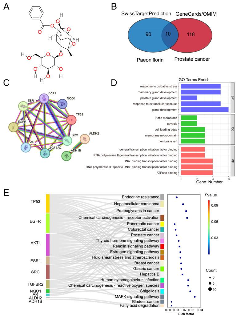https://cdn.ncbi.nlm.nih.gov/pmc/blobs/eb9f/12388997/f91760520243/pharmaceuticals-18-01241-g001.jpg