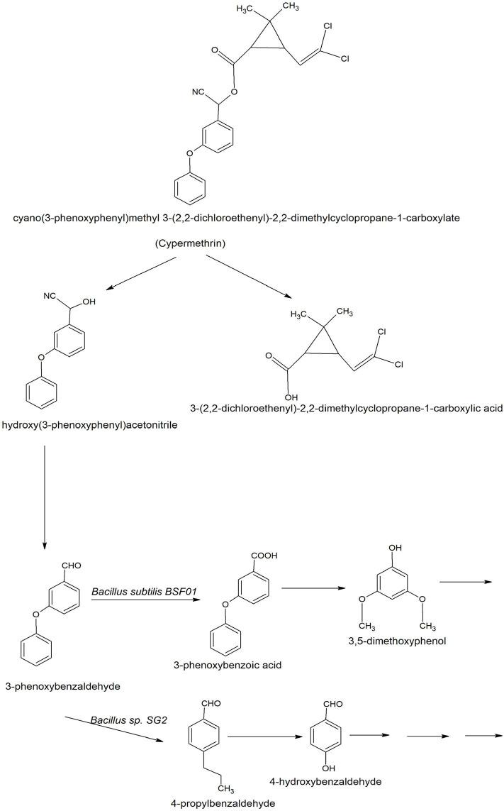 https://cdn.ncbi.nlm.nih.gov/pmc/blobs/eb9f/7581956/e2c407b6fad0/fbioe-08-570307-g0004.jpg