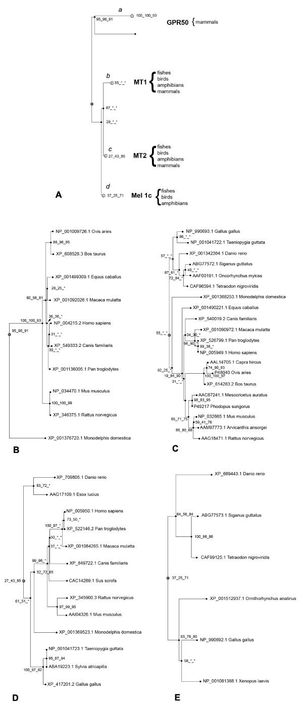 https://cdn.ncbi.nlm.nih.gov/pmc/blobs/eba0/2323367/22a4fff4d9f4/1471-2148-8-105-1.jpg