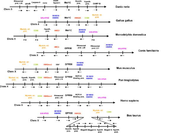 https://cdn.ncbi.nlm.nih.gov/pmc/blobs/eba0/2323367/32684865306f/1471-2148-8-105-2.jpg