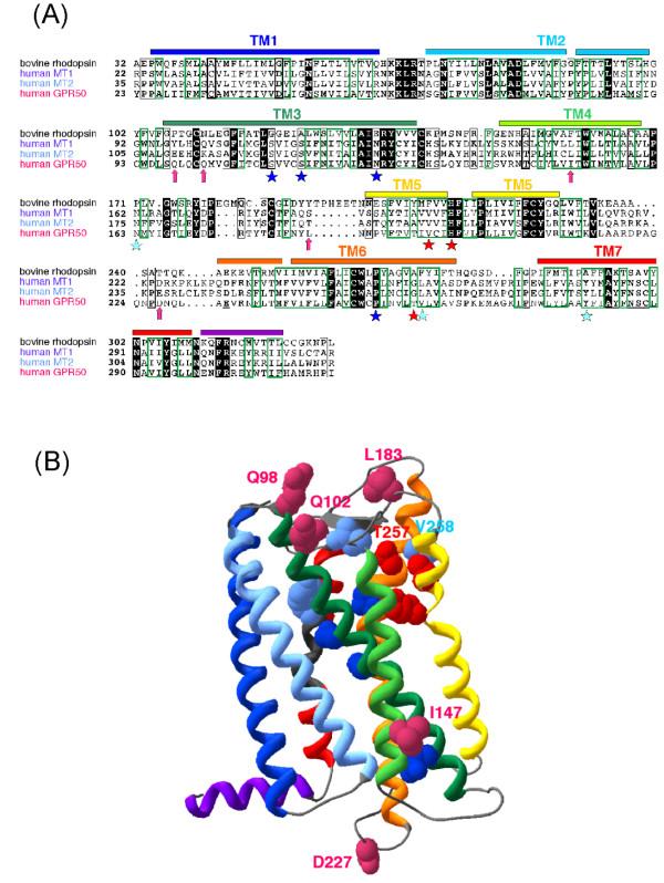 https://cdn.ncbi.nlm.nih.gov/pmc/blobs/eba0/2323367/bb48b90803ed/1471-2148-8-105-3.jpg