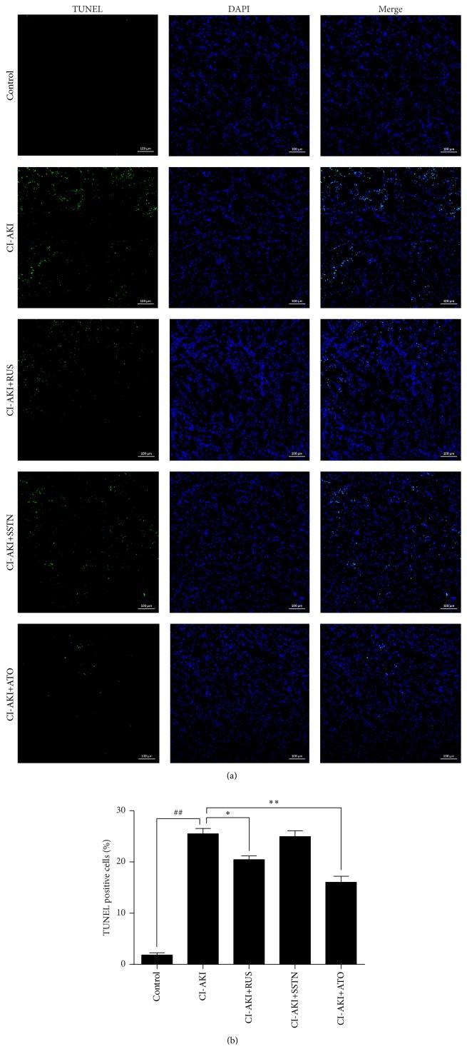https://cdn.ncbi.nlm.nih.gov/pmc/blobs/eba0/5294380/06f0ceeca9f3/OMCL2017-6282486.004.jpg