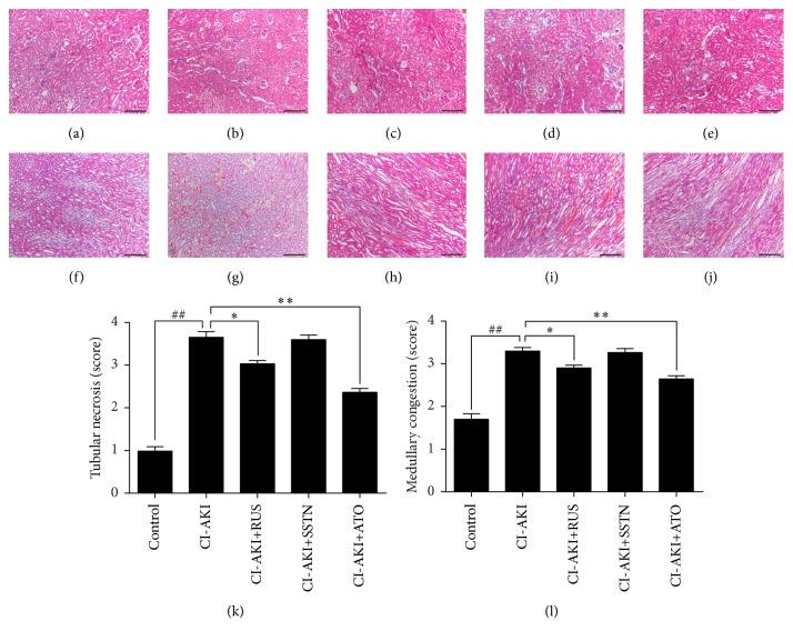 https://cdn.ncbi.nlm.nih.gov/pmc/blobs/eba0/5294380/3915154bb6d0/OMCL2017-6282486.001.jpg