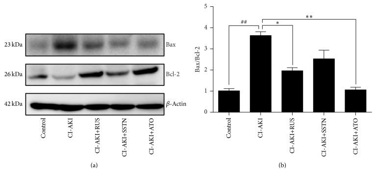 https://cdn.ncbi.nlm.nih.gov/pmc/blobs/eba0/5294380/86f2e2ef6a6a/OMCL2017-6282486.005.jpg