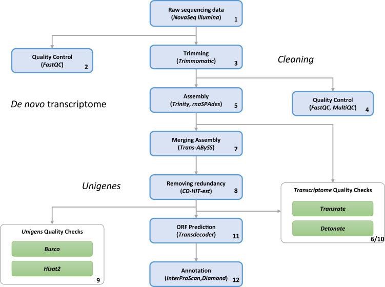 https://cdn.ncbi.nlm.nih.gov/pmc/blobs/eba1/10224929/2dc74cb51896/41597_2023_2217_Fig1_HTML.jpg