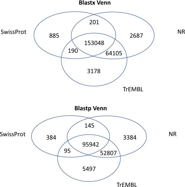https://cdn.ncbi.nlm.nih.gov/pmc/blobs/eba1/10224929/da4077fd53bc/41597_2023_2217_Fig4_HTML.jpg