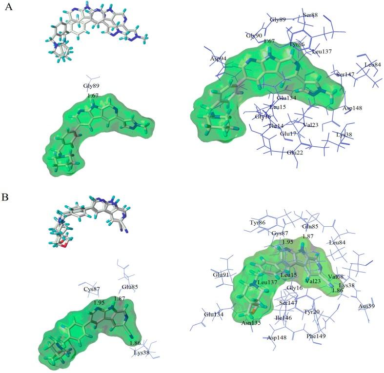 https://cdn.ncbi.nlm.nih.gov/pmc/blobs/eba1/6273173/b15b9ead2575/molecules-21-00591-g012.jpg