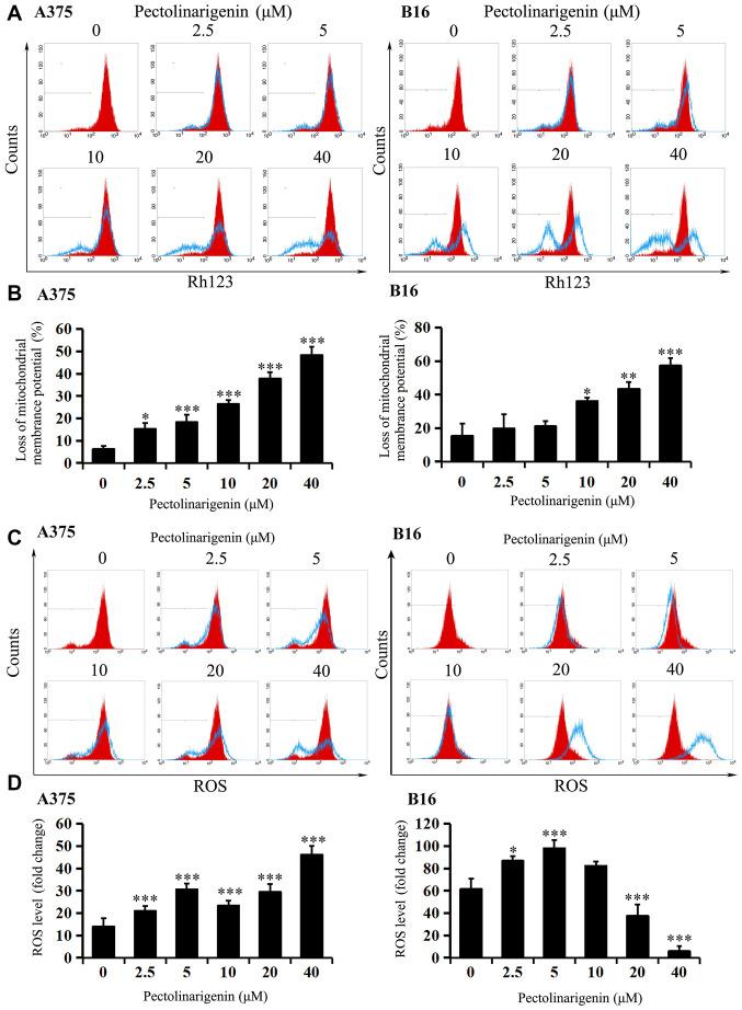 https://cdn.ncbi.nlm.nih.gov/pmc/blobs/eba1/7448562/92c6f930eb0e/ol-20-04-11977-g02.jpg