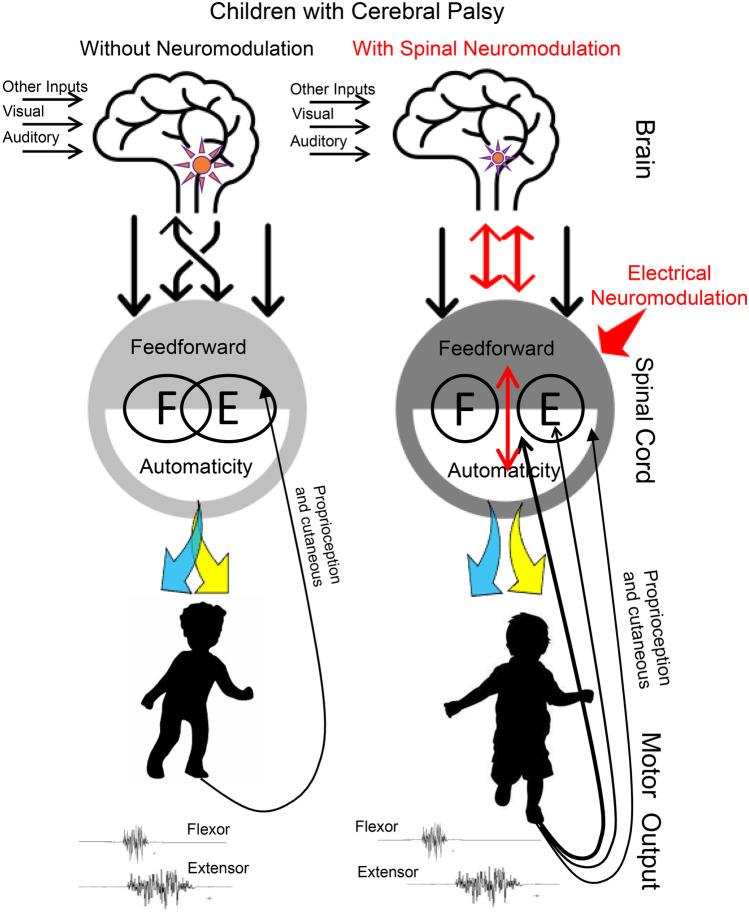https://cdn.ncbi.nlm.nih.gov/pmc/blobs/eba4/8608961/07e5346f9ec6/13311_2021_1087_Fig4_HTML.jpg
