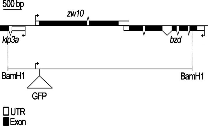 https://cdn.ncbi.nlm.nih.gov/pmc/blobs/eba5/4469085/9a6d62e18c3d/10577_2015_9472_Fig1_HTML.jpg